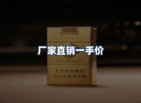 专业团队办公环境